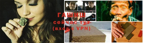 индика Алзамай