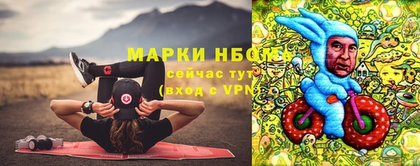 индика Алзамай
