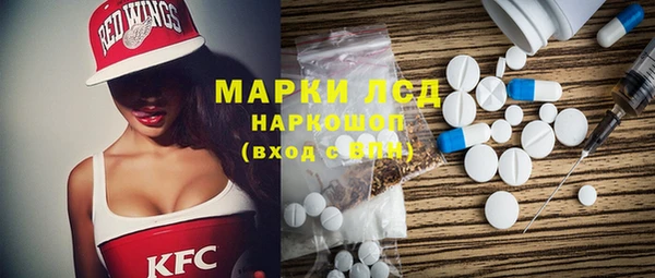 индика Алзамай