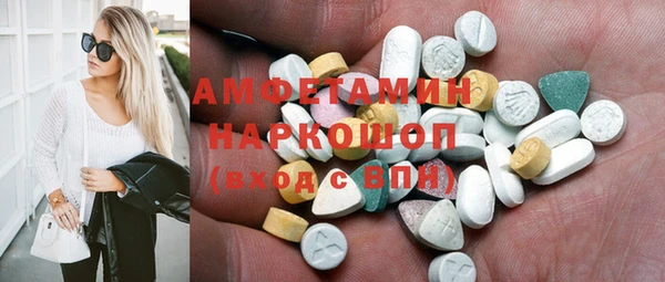 индика Алзамай