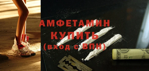 индика Алзамай