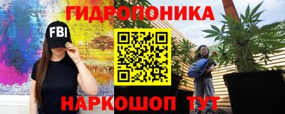 прущие грибы Свободный
