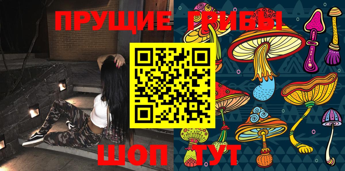 Псилоцибиновые грибы Cubensis  Вход с VPN  Сухой Лог 