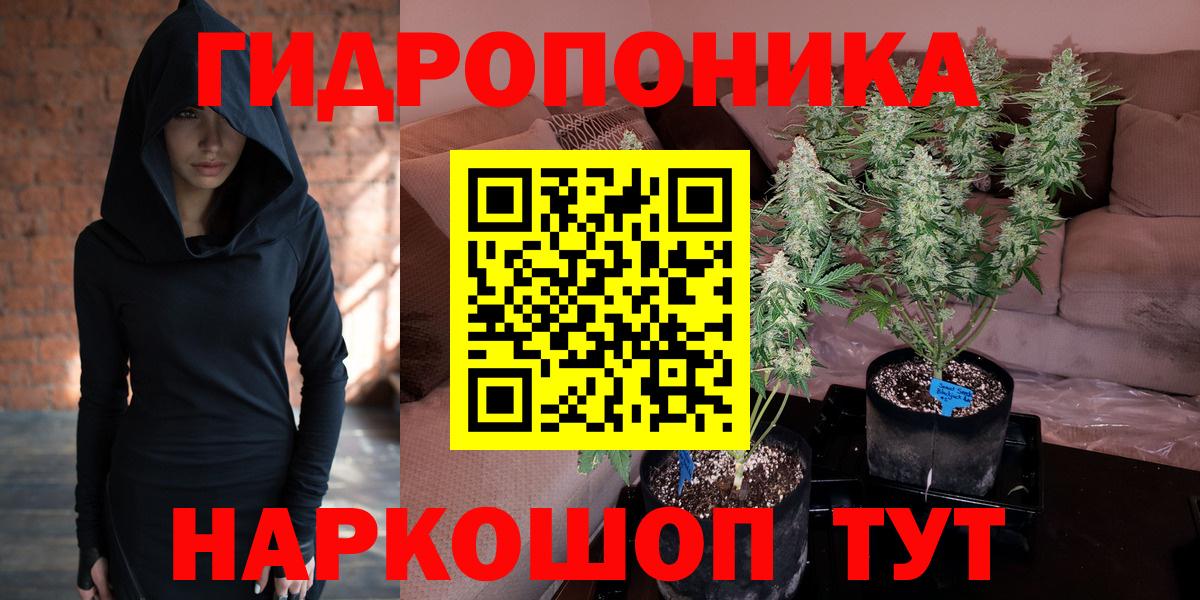 Бошки марихуана OG Kush Сухой Лог